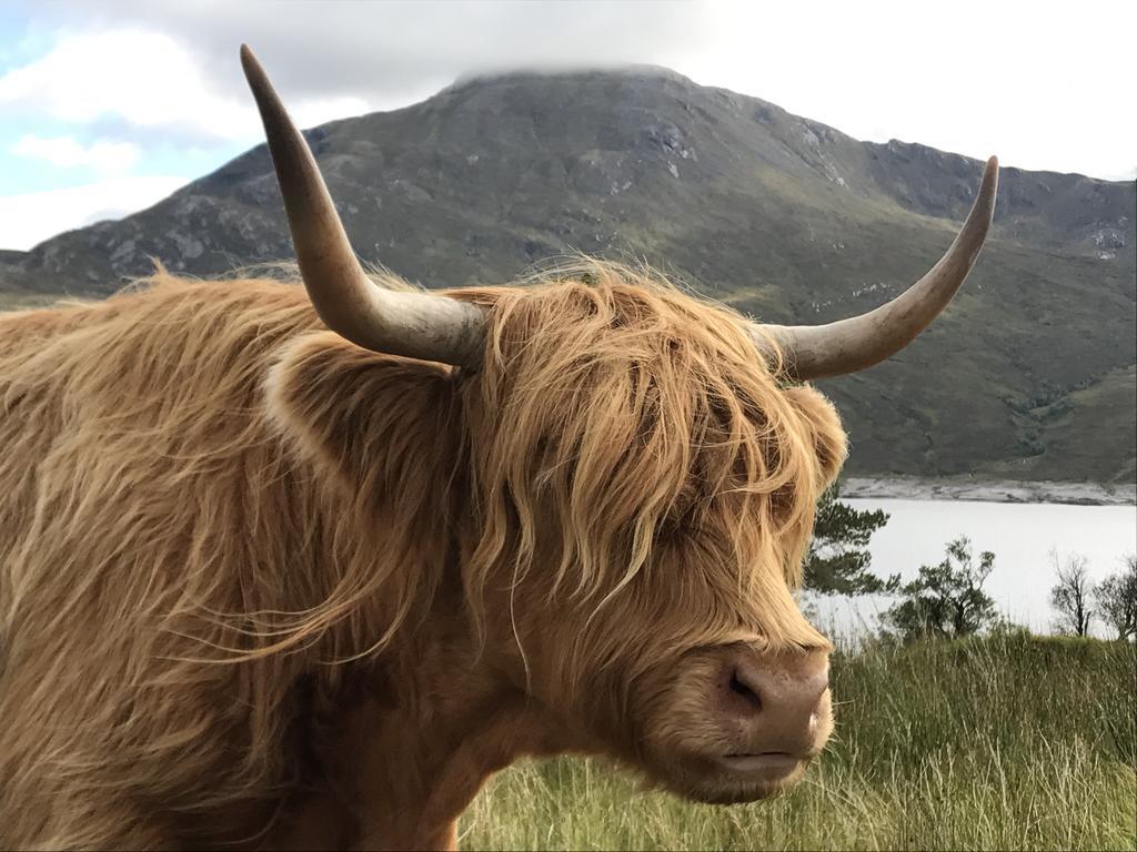 Caledonian Cabin Invergarry Kültér fotó